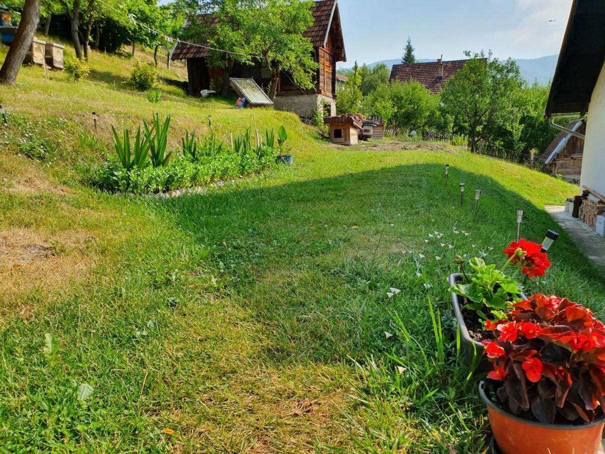 Apartman Draga Bed & Breakfast Mokra Gora Bagian luar foto