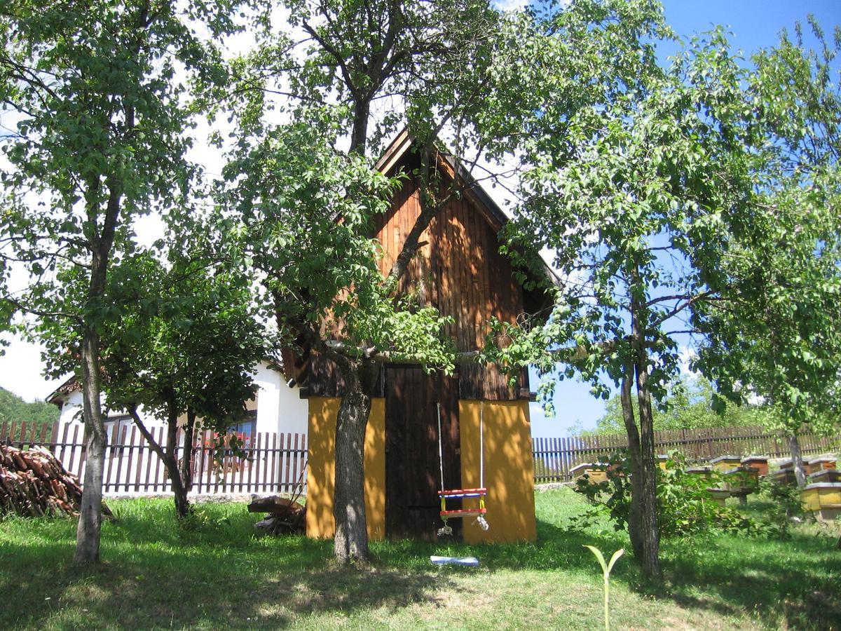 Apartman Draga Bed & Breakfast Mokra Gora Bagian luar foto